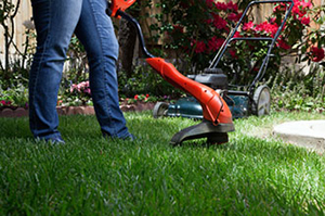 St Marys Lawn Care Spring Care