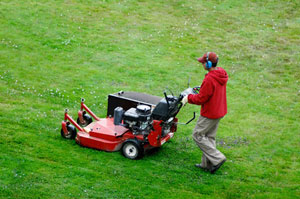 St Marys MD lawn mowing